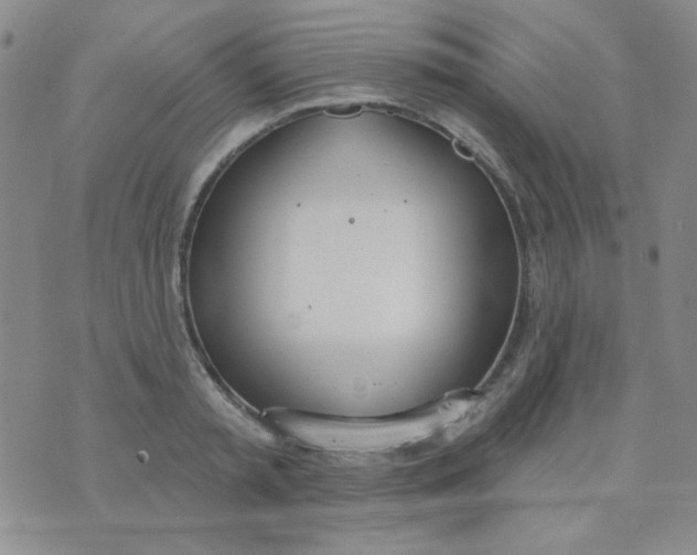 X0000074320797200609152030