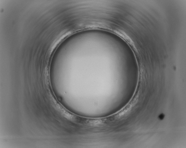 X0000074320798200609152030