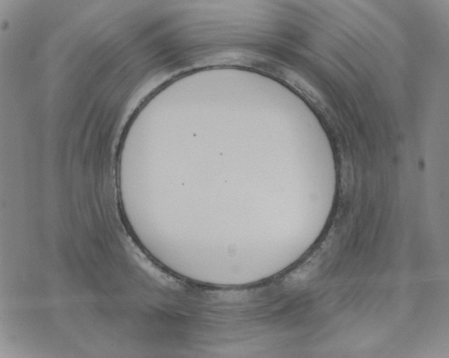 X0000074320800200609152030