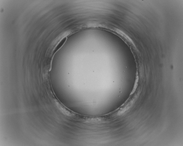 X0000074320801200609152030