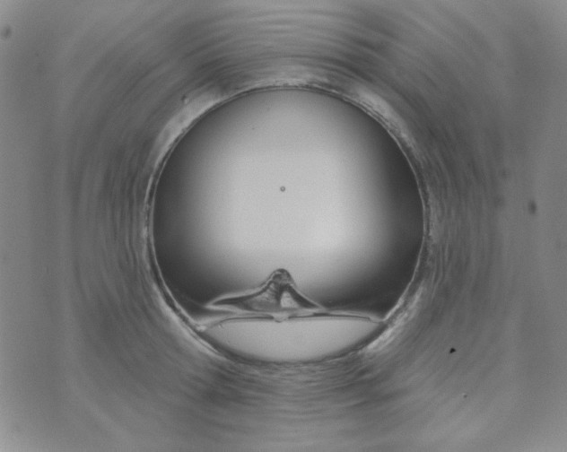 X0000074320802200609152030