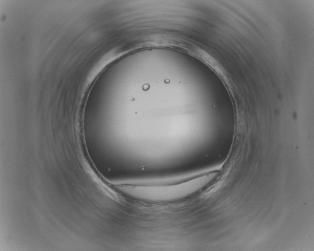 X0000074320803200609152030