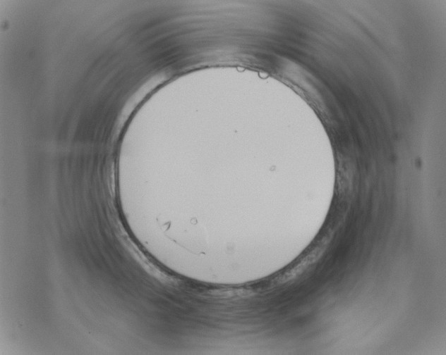 X0000074320804200609152030