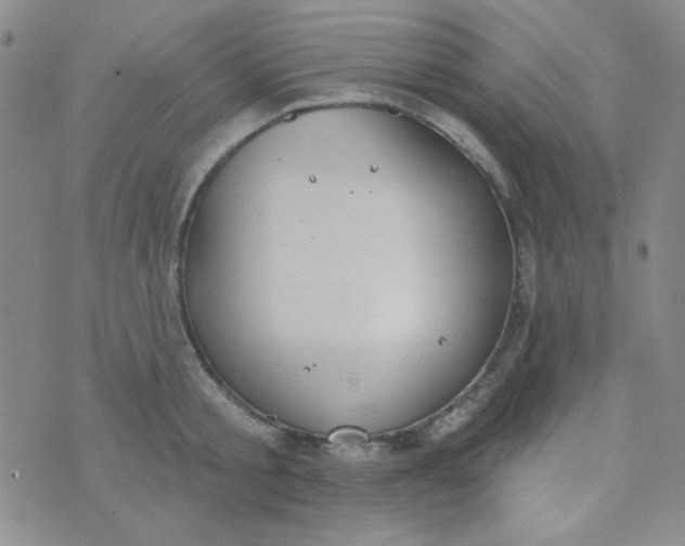 X0000074320805200609152030