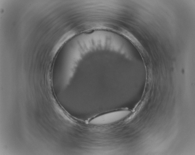 X0000074320806200609152030