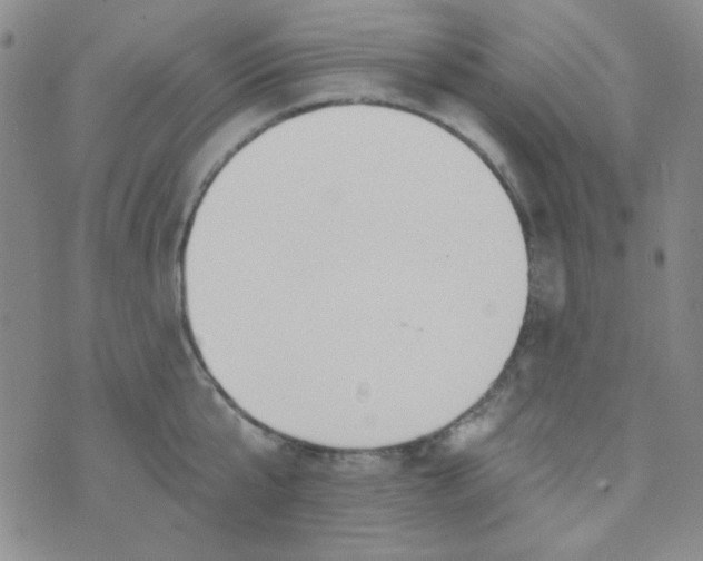 X0000074320807200609152030