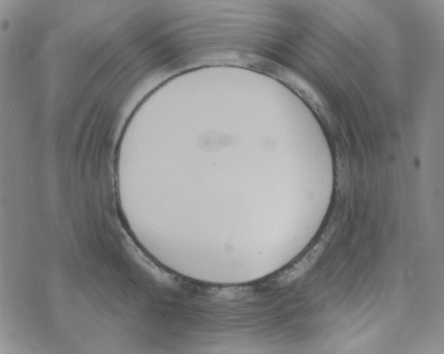 X0000074320808200609152030