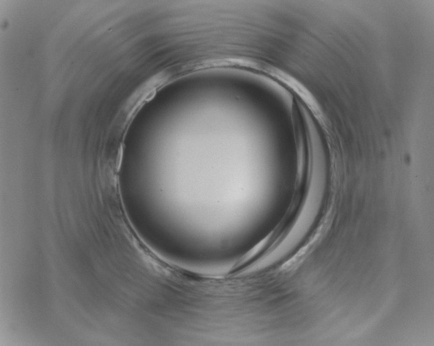 X0000074320809200609152030