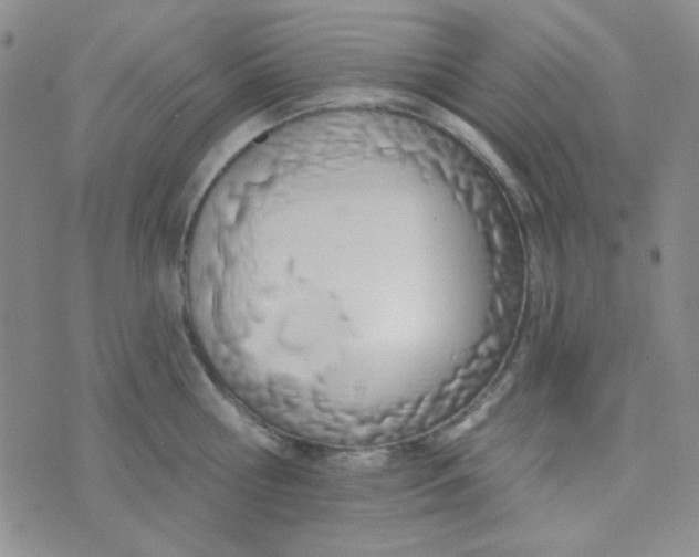 X0000074320810200609152030