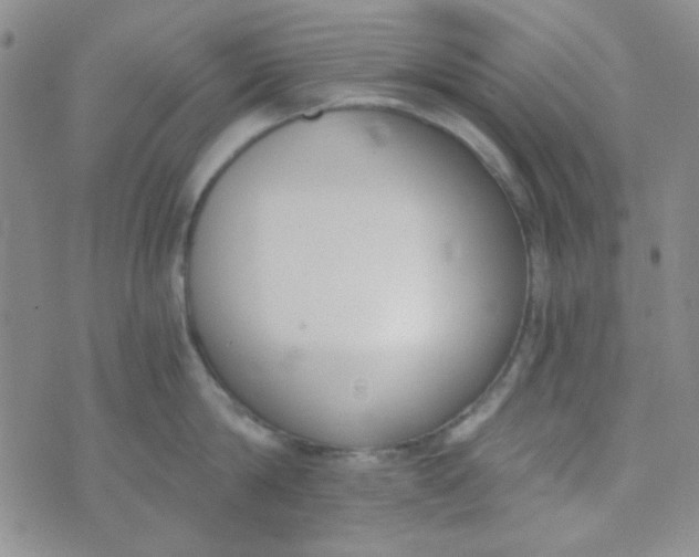 X0000074320814200609152030