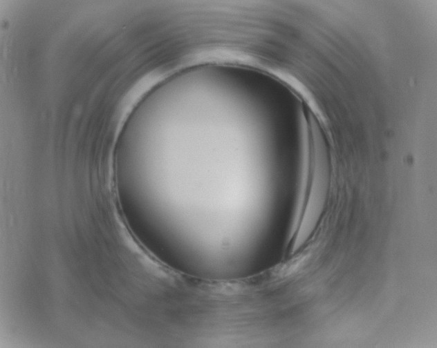 X0000074320815200609152030