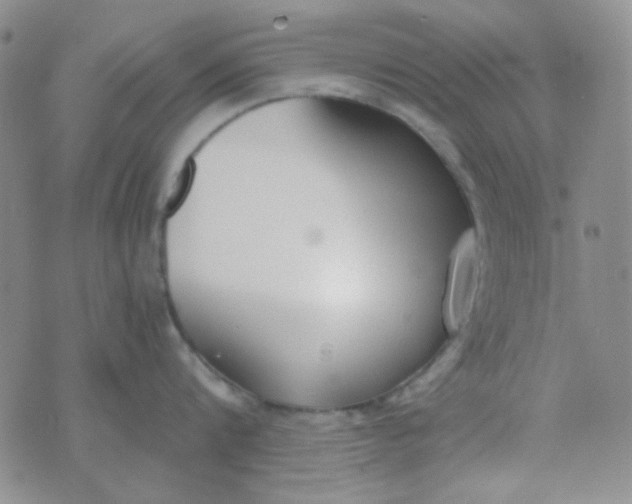 X0000074320816200609152030