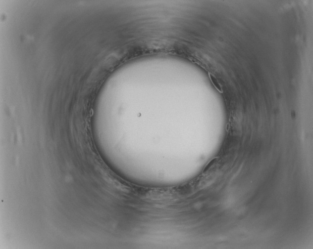 X0000074320817200609152029