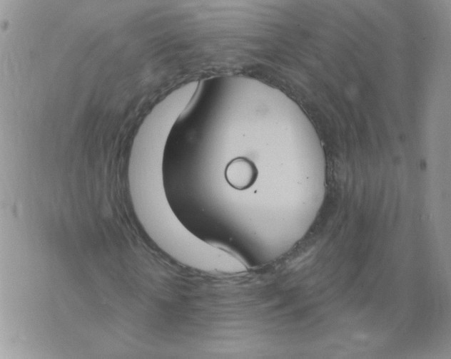 X0000074320818200609152029