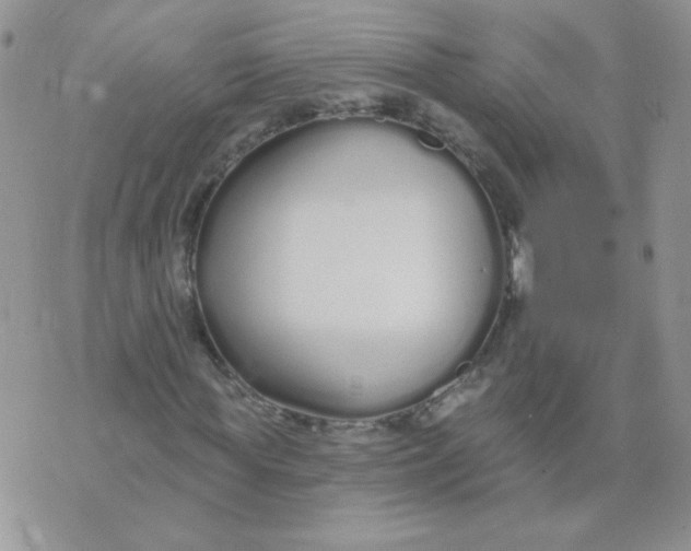 X0000074320819200609152029