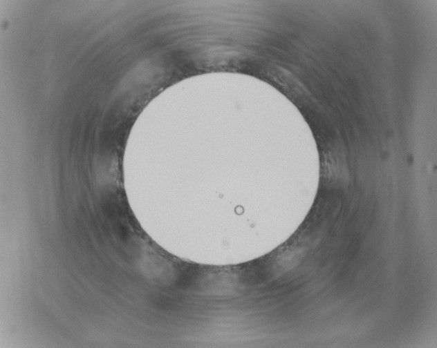 X0000074320820200609152029