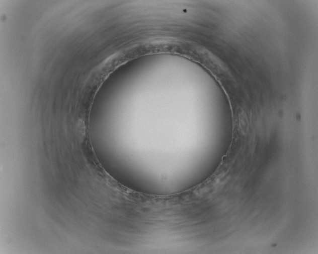 X0000074320821200609152029