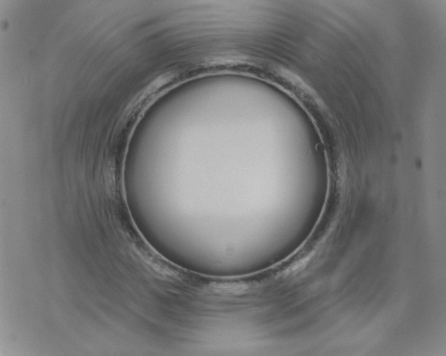 X0000074320825200609152029