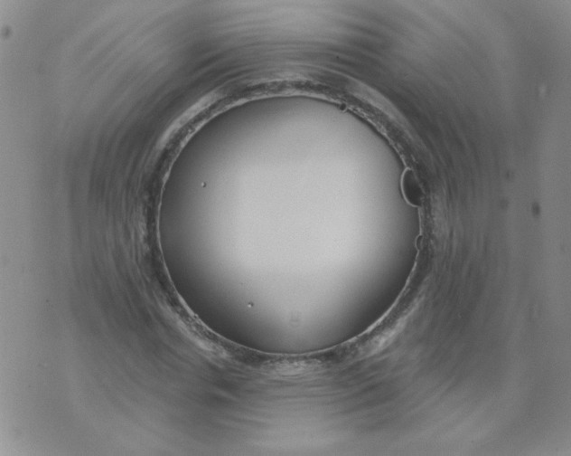 X0000074320826200609152030