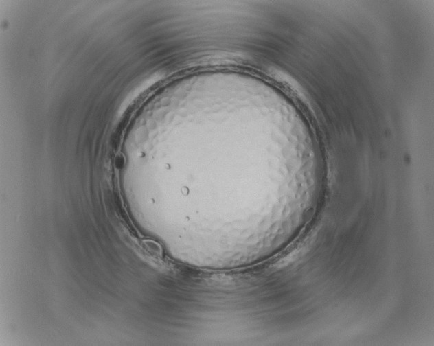 X0000074320827200609152030