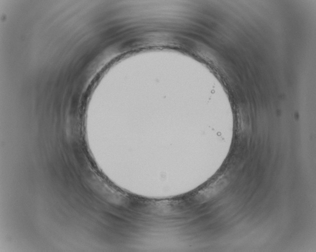 X0000074320828200609152030