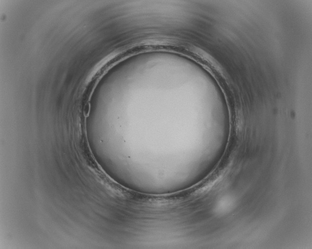 X0000074320829200609152030