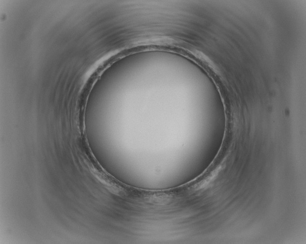 X0000074320830200609152030