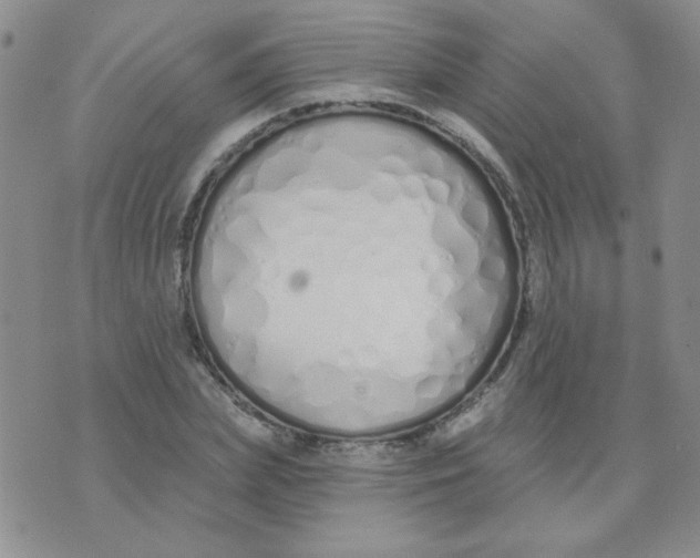 X0000074320831200609152030