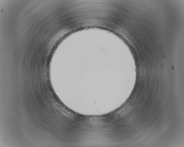 X0000074320832200609152030