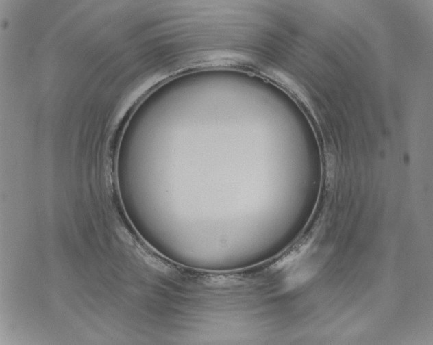 X0000074320835200609152030