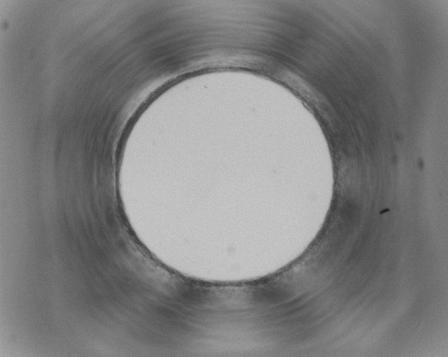 X0000074320836200609152030