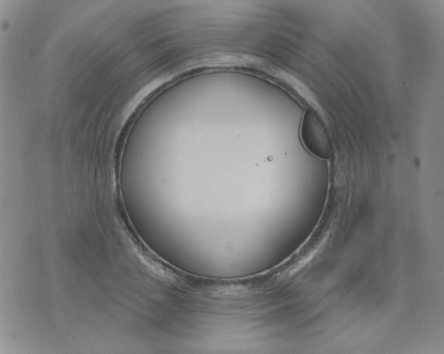 X0000074320837200609152030