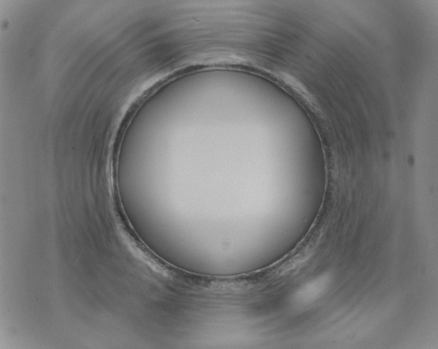 X0000074320840200609152030