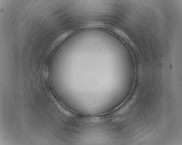 X0000074320841200609152030