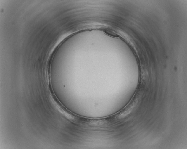 X0000074320843200609152030