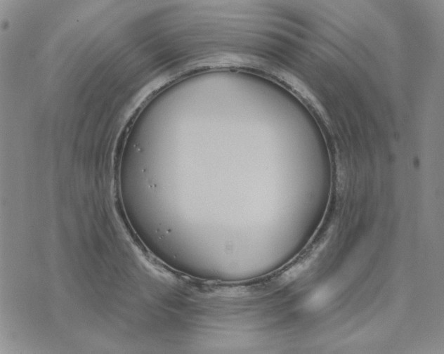 X0000074320845200609152030