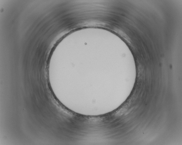 X0000074320848200609152030