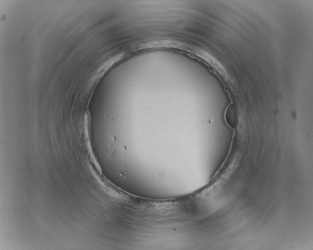 X0000074320849200609152030