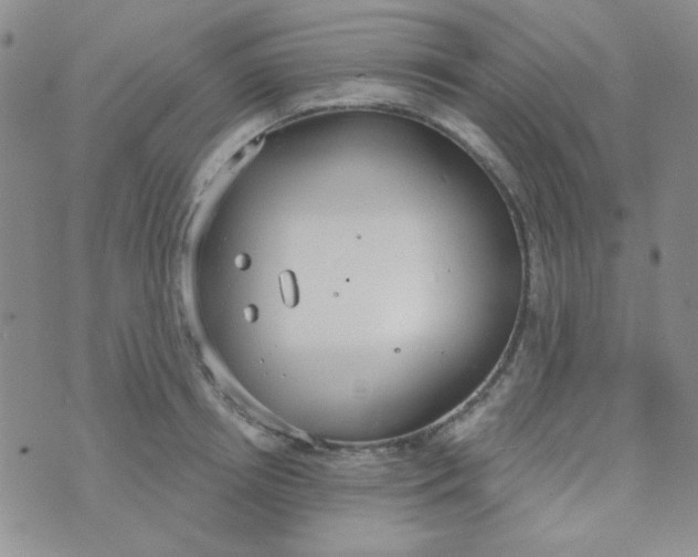 X0000074320850200609152030