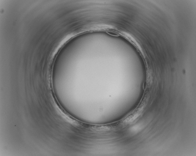 X0000074320851200609152030