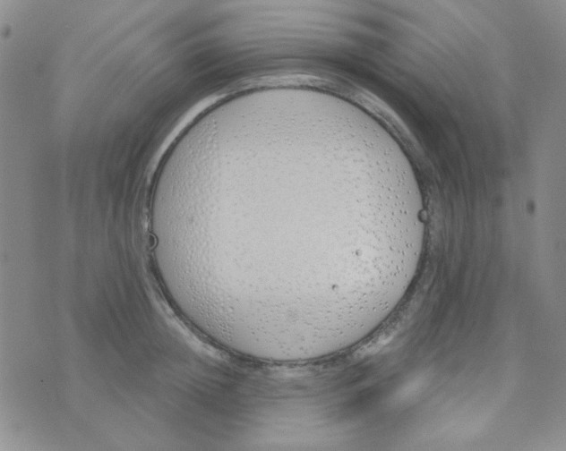 X0000074320852200609152030