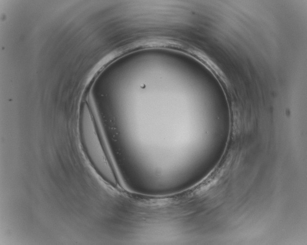 X0000074320853200609152030