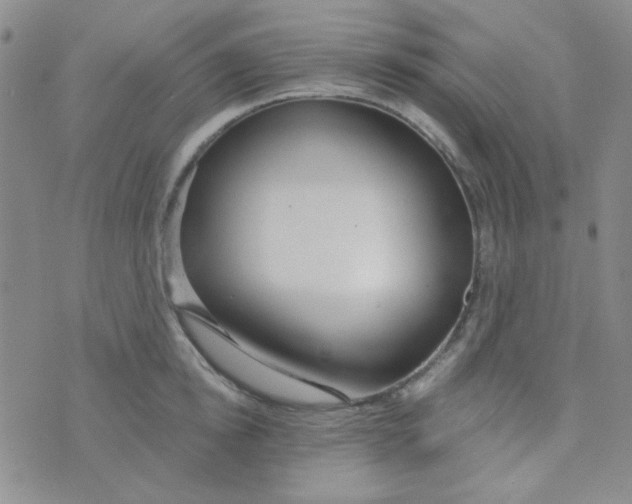 X0000074320854200609152030