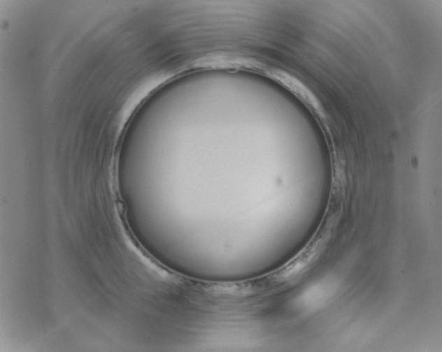 X0000074320855200609152030