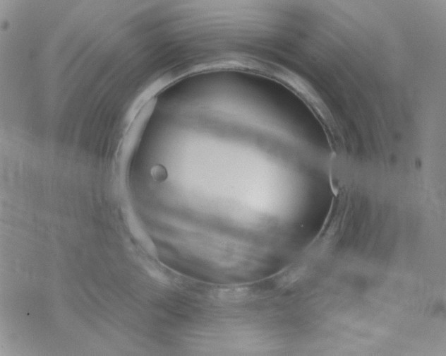 X0000074320858200609152030