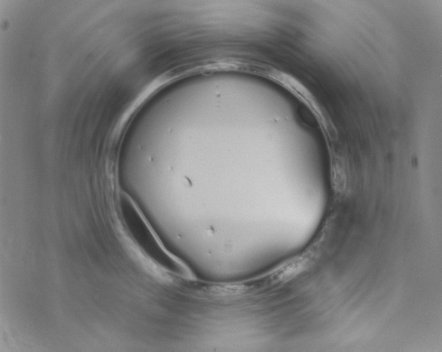 X0000074320859200609152030