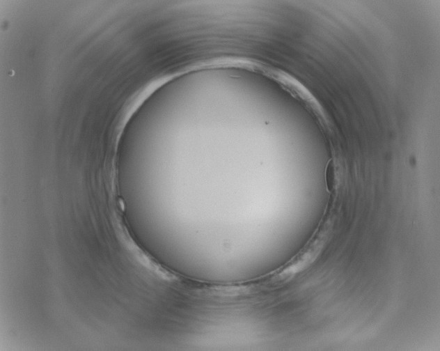 X0000074320860200609152030