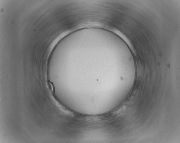 X0000074320861200609152030