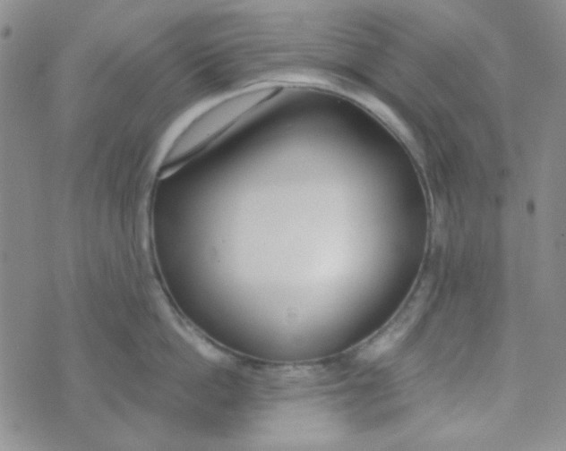 X0000074320862200609152030