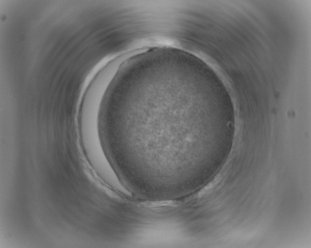 X0000074320864200609152030